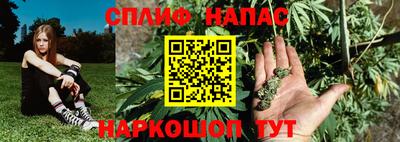 скорость Будённовск
