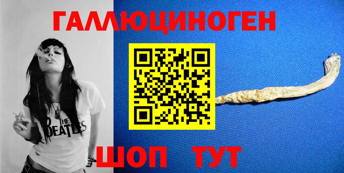 хочу   Галлюциногенные грибы прущие грибы  Вход с VPN  Кудымкар 